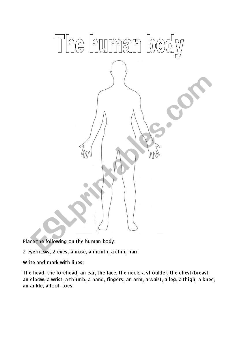 The human body gets named and dressed