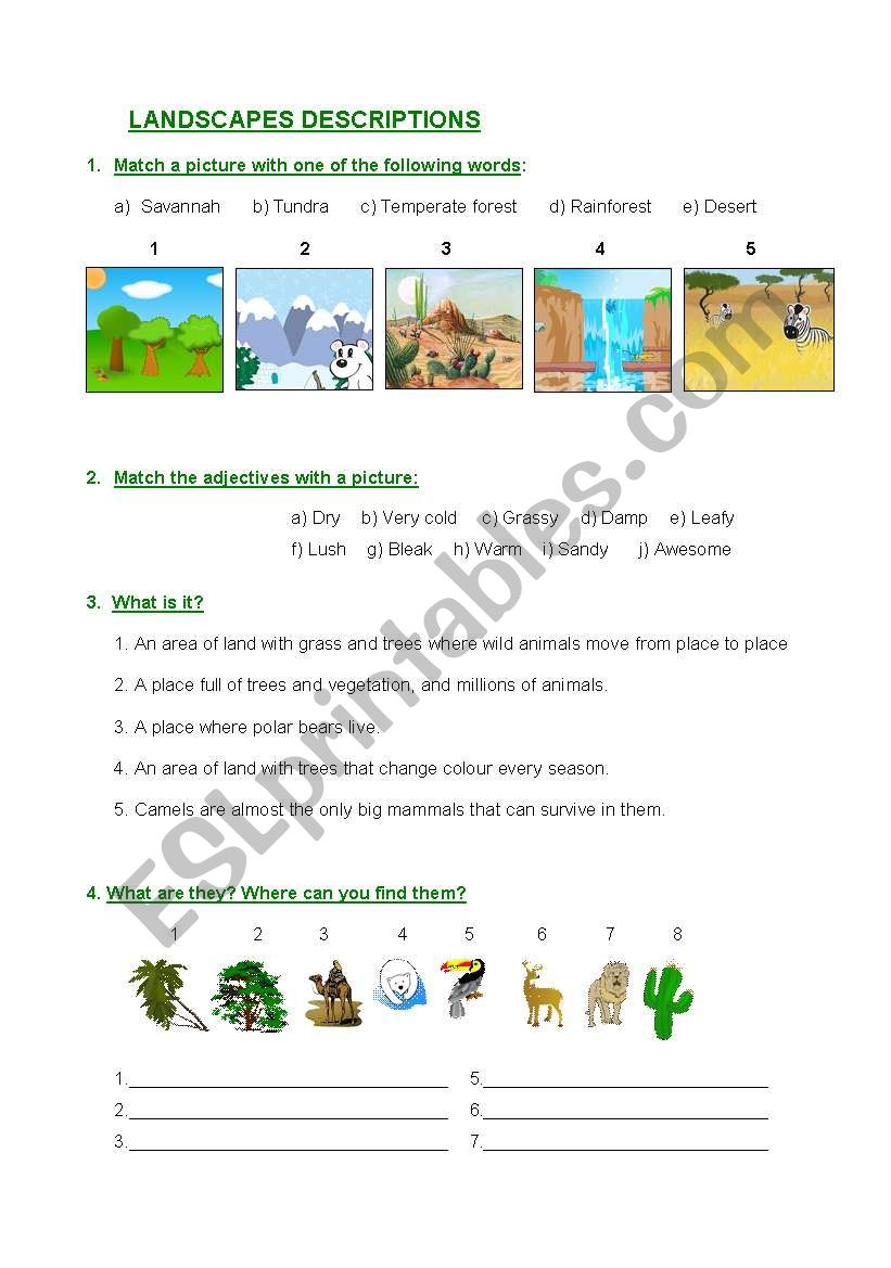 Landscape descriptions worksheet