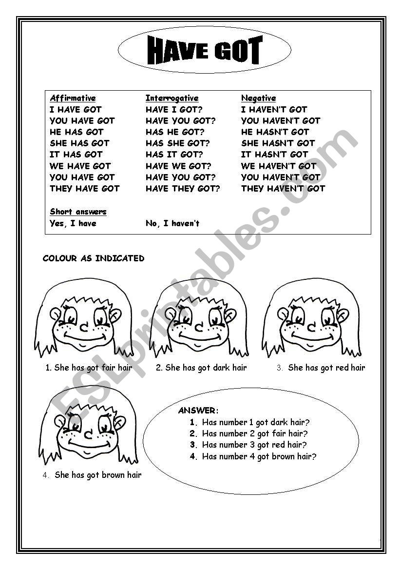 HAVE GOT AND DESCRIPTION worksheet