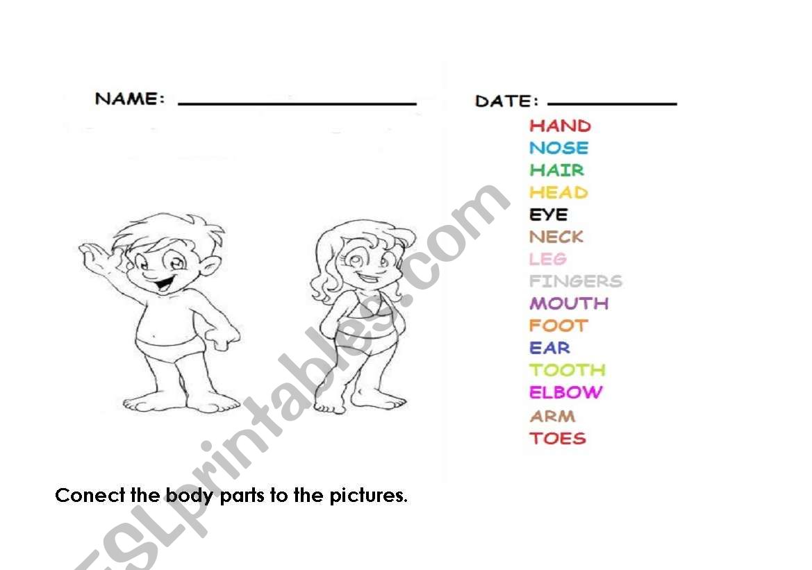 Body parts worksheet