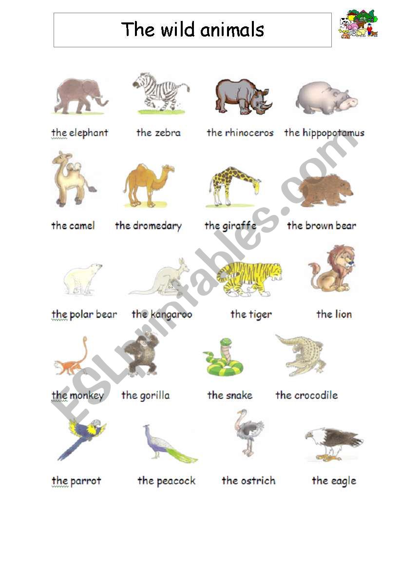 Wild animals worksheet