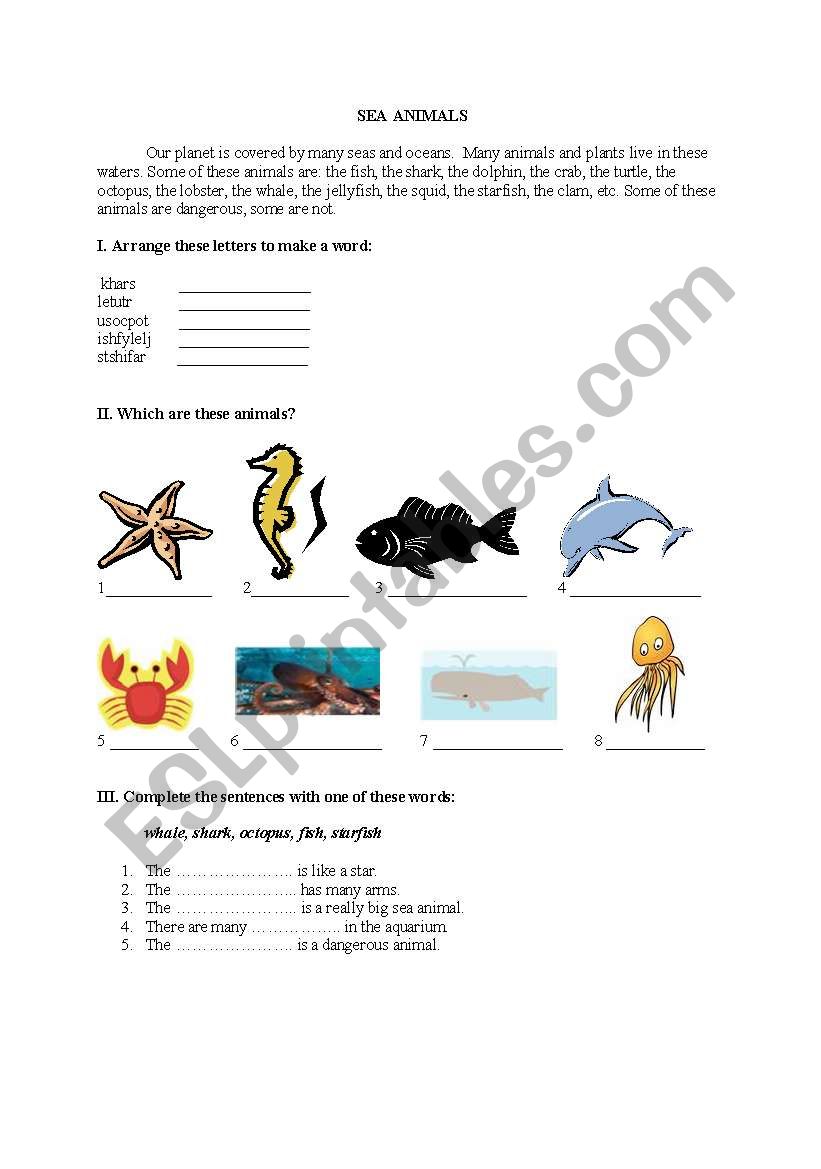 Sea animals worksheet