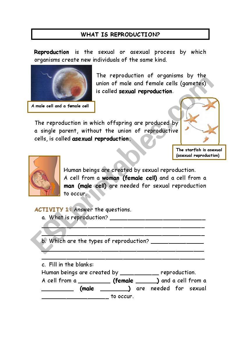 ****Science Unit ****What is reproduction? 4th grade part 2/4