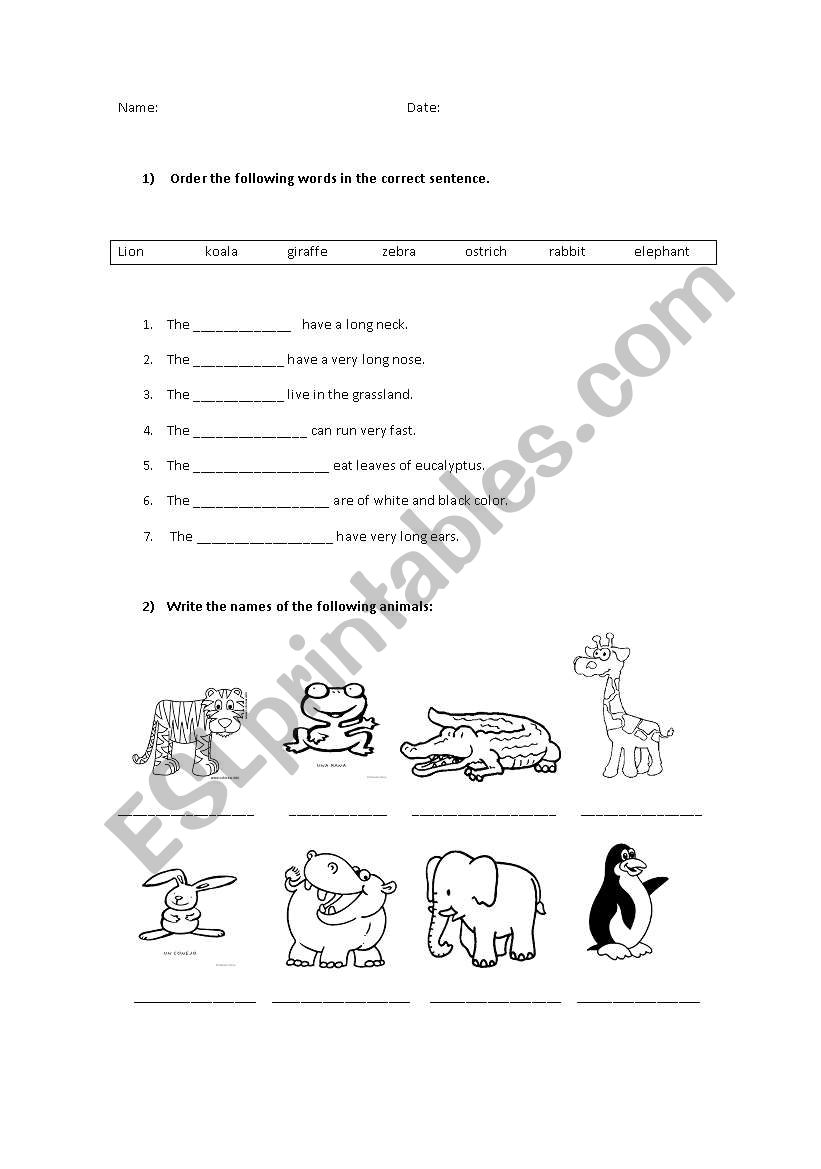 Animals worksheet