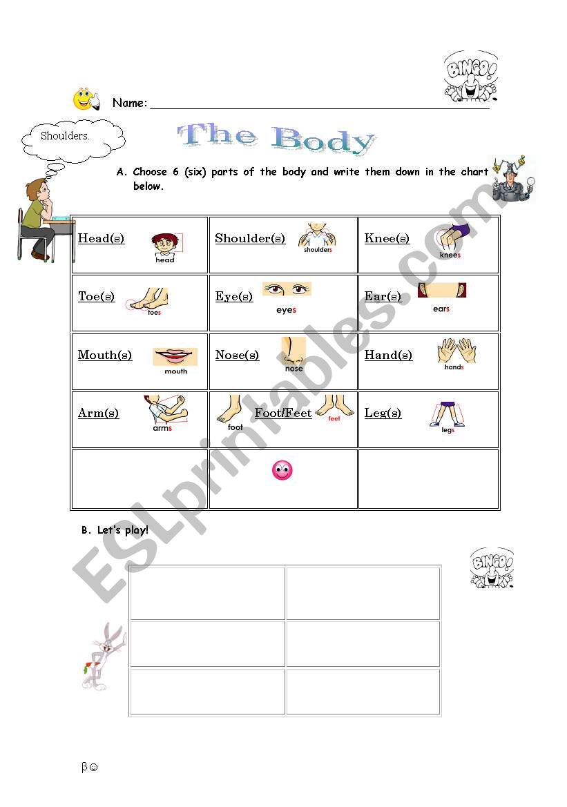 Body - bingo worksheet