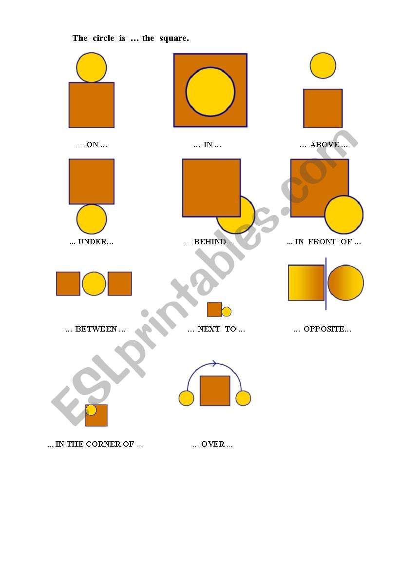 Prepositions worksheet