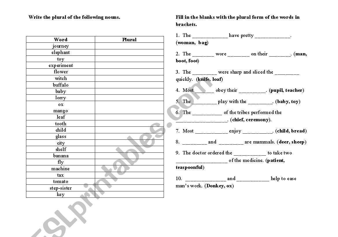 Plural of Nouns worksheet