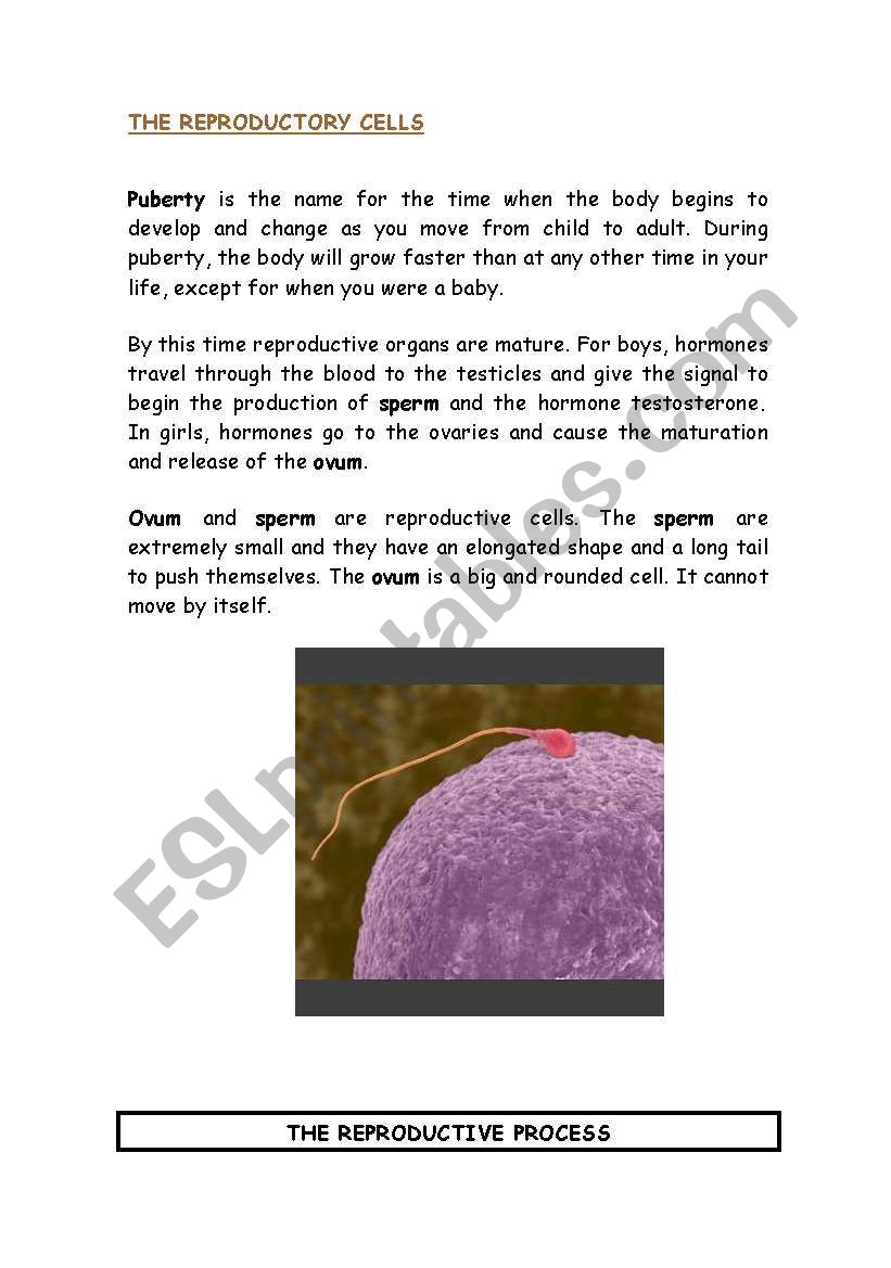****Science Unit ****What is reproduction? 4th grade part 4/4