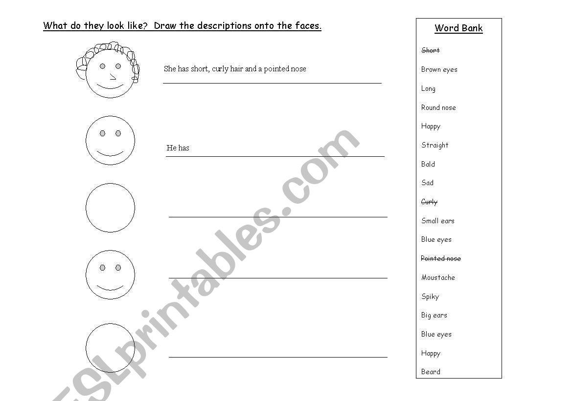 What do they look like?  Draw the descriptions onto the faces.