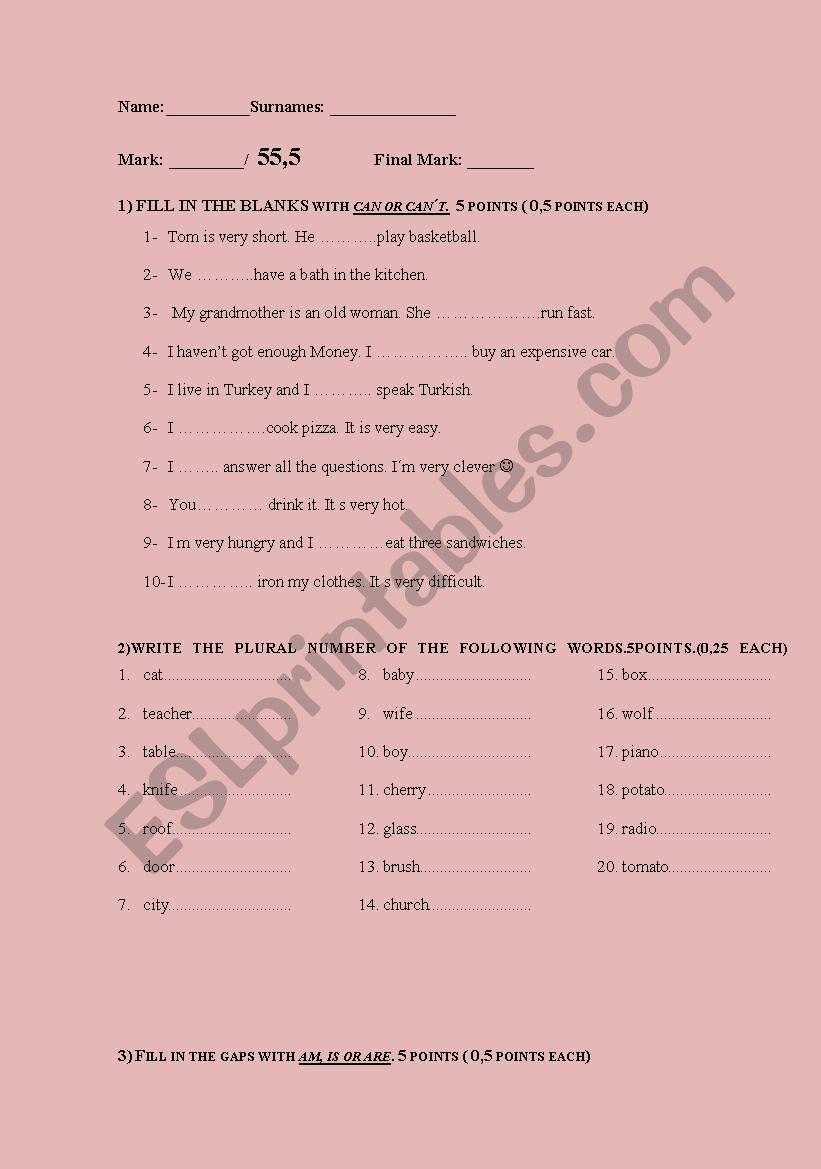 test for beginners worksheet