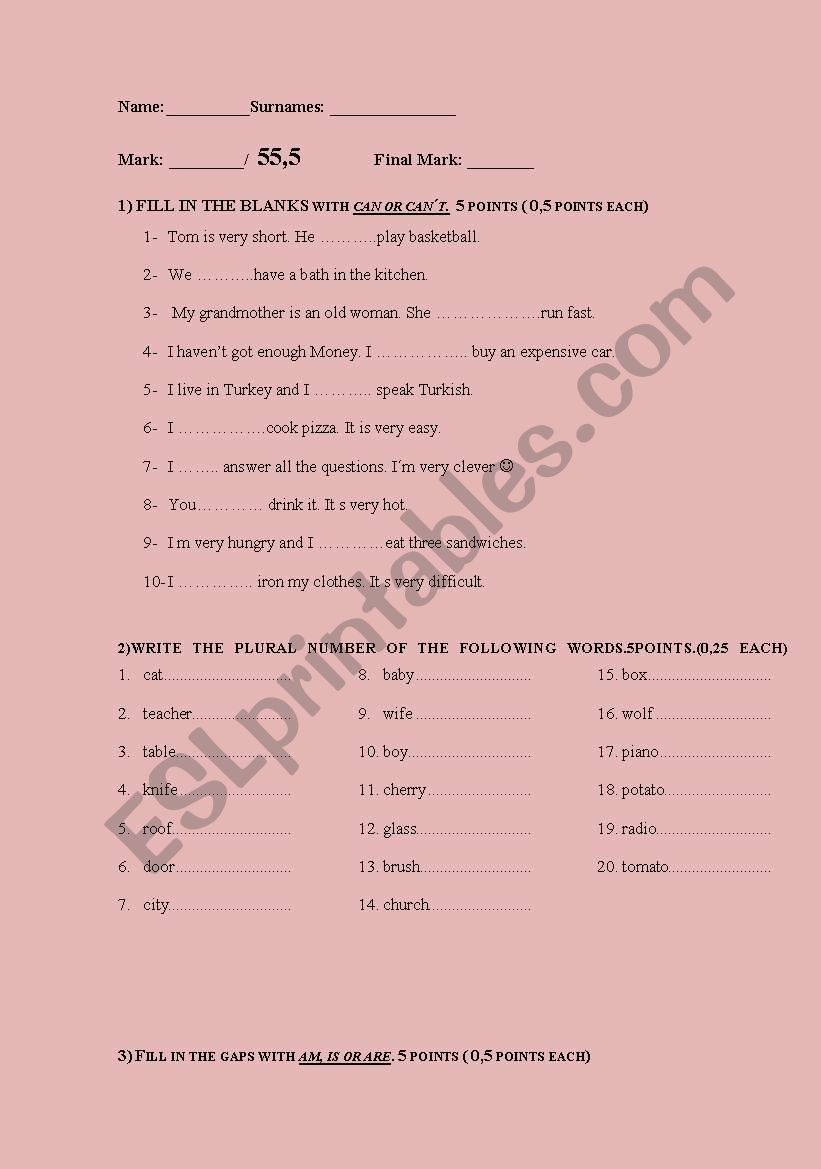 test for beginners worksheet