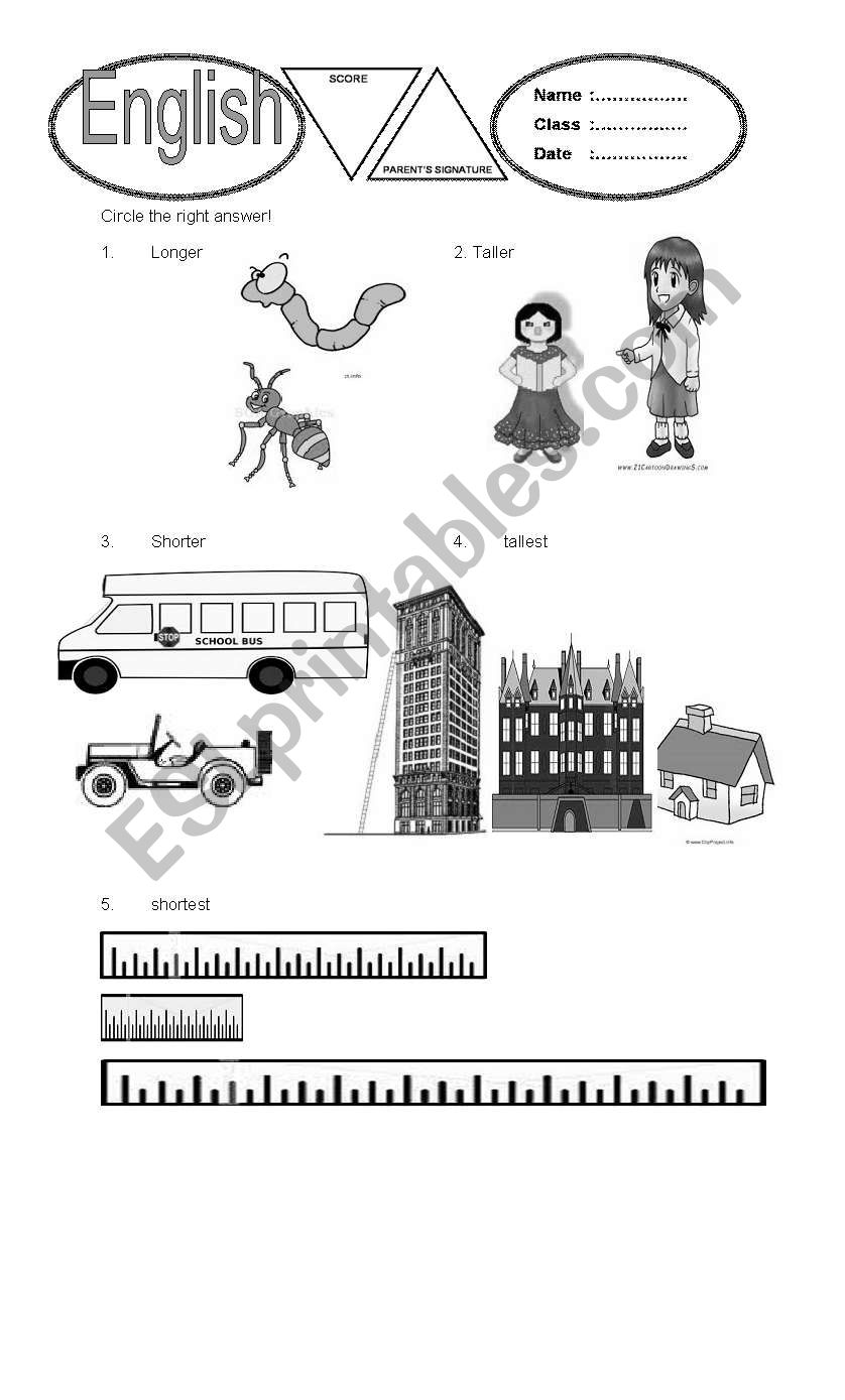 comparison the things worksheet