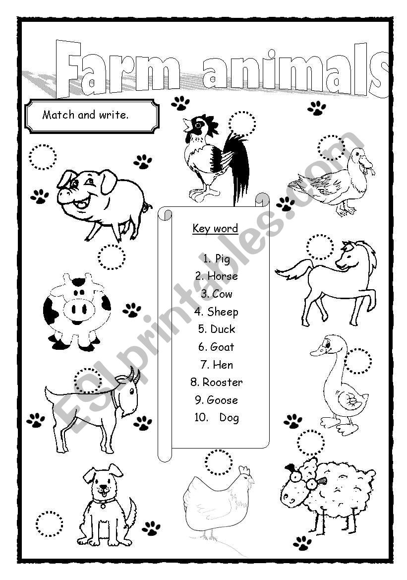 Farm animals worksheet