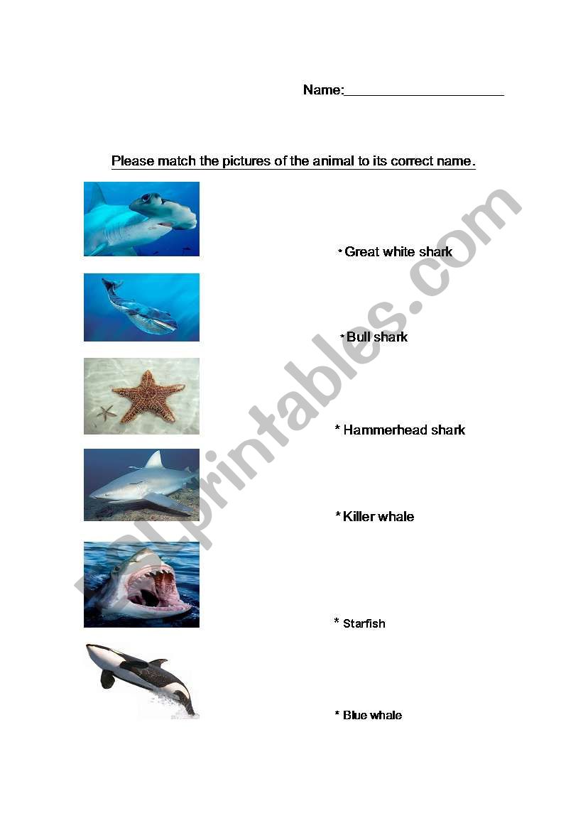 Ocean animals matching worksheet