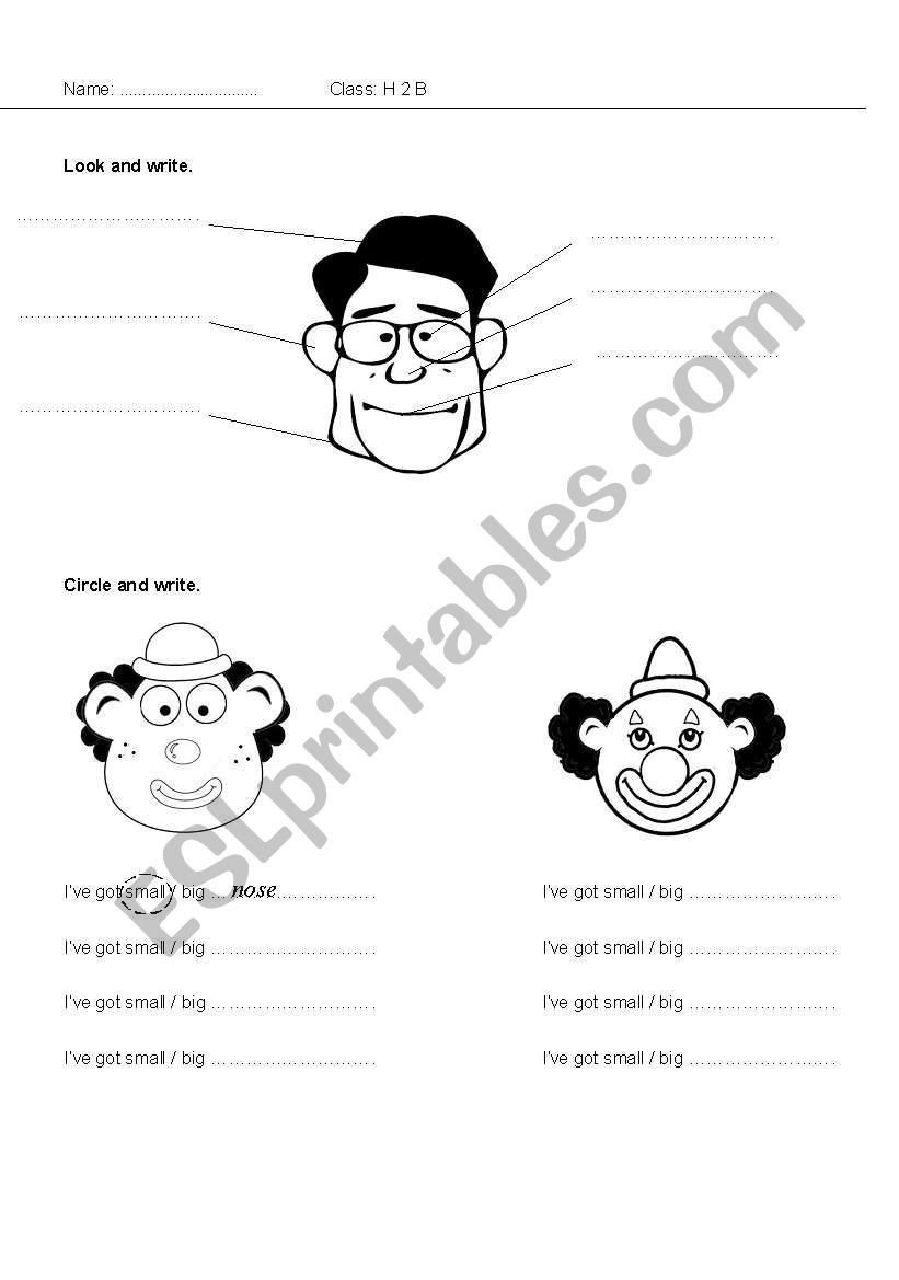 face worksheet