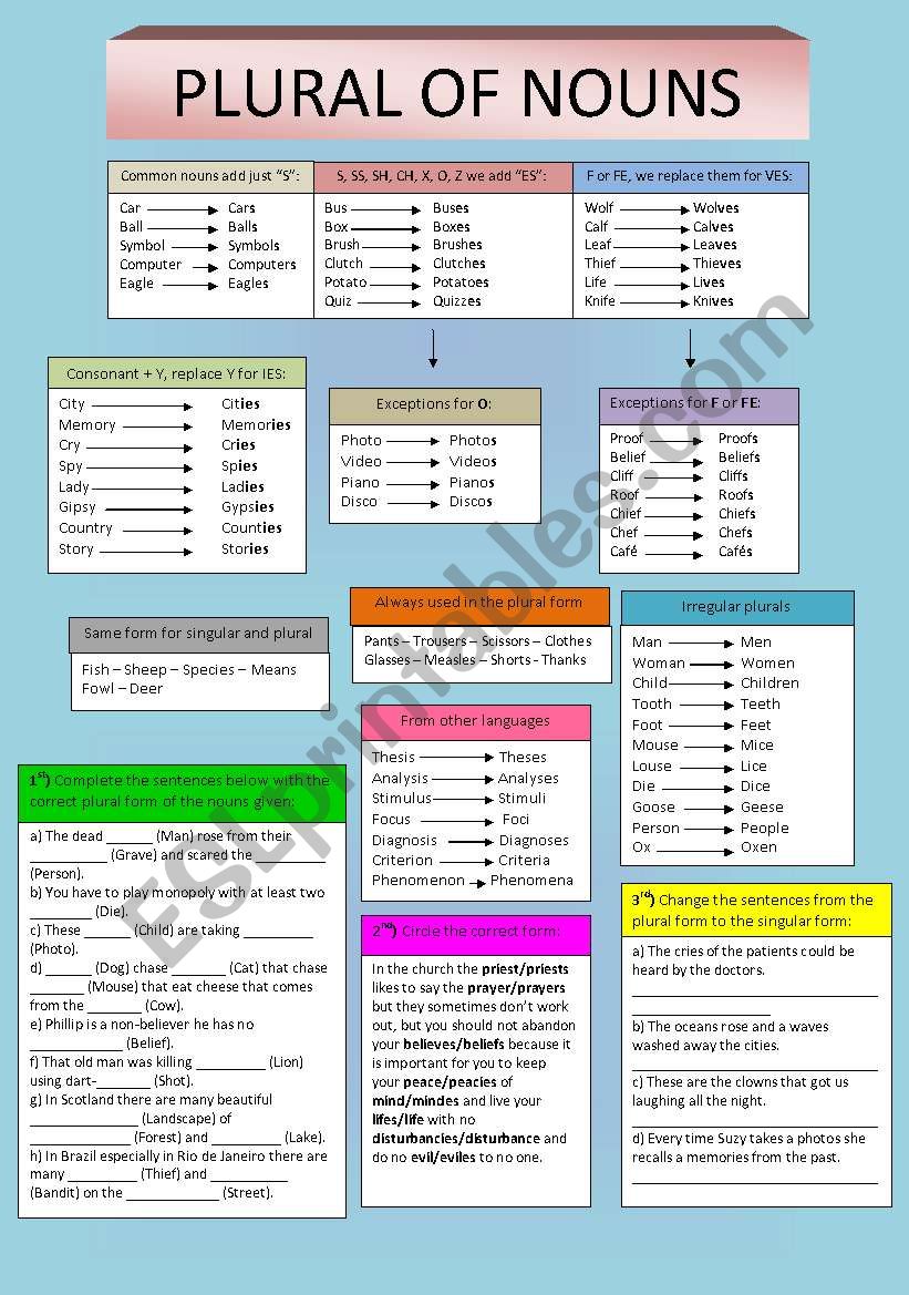 Plural of nouns worksheet