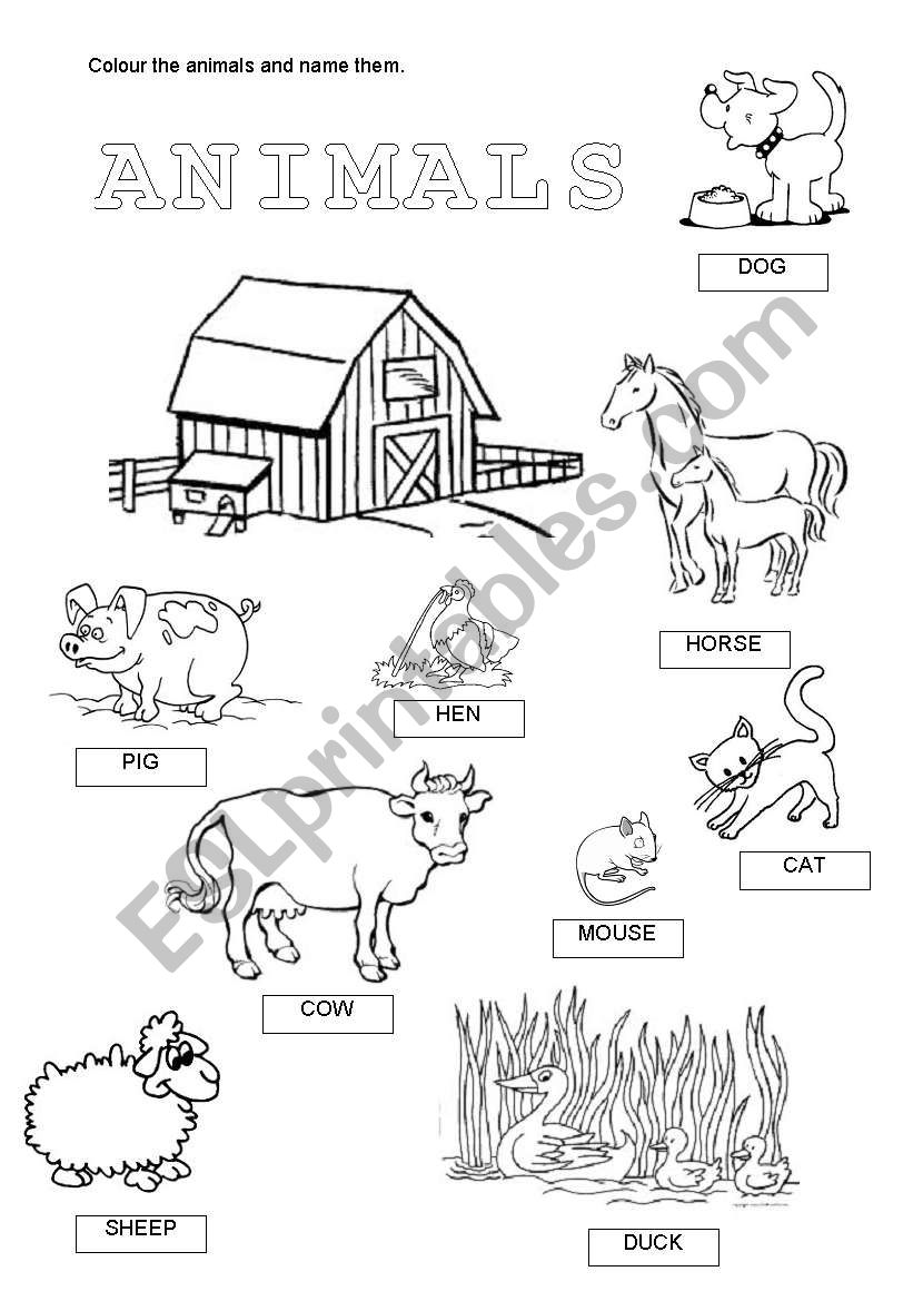 DOMESTIC ANIMALS worksheet