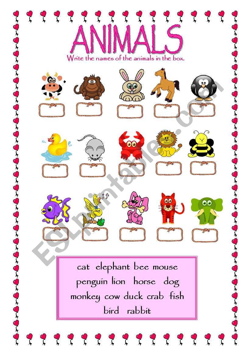 FUNNY ANIMALS worksheet