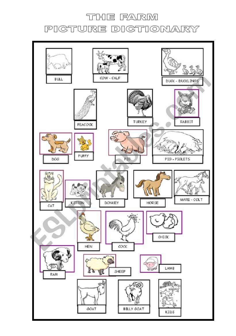 The Farm: Picture Dictionary worksheet