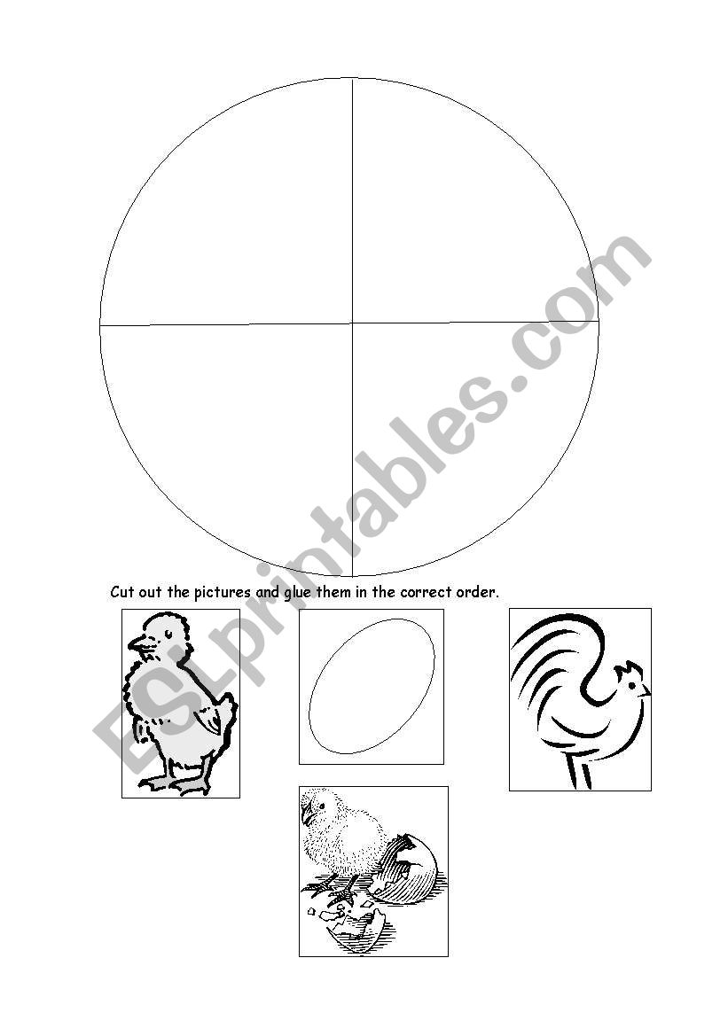 Life Cycles worksheet