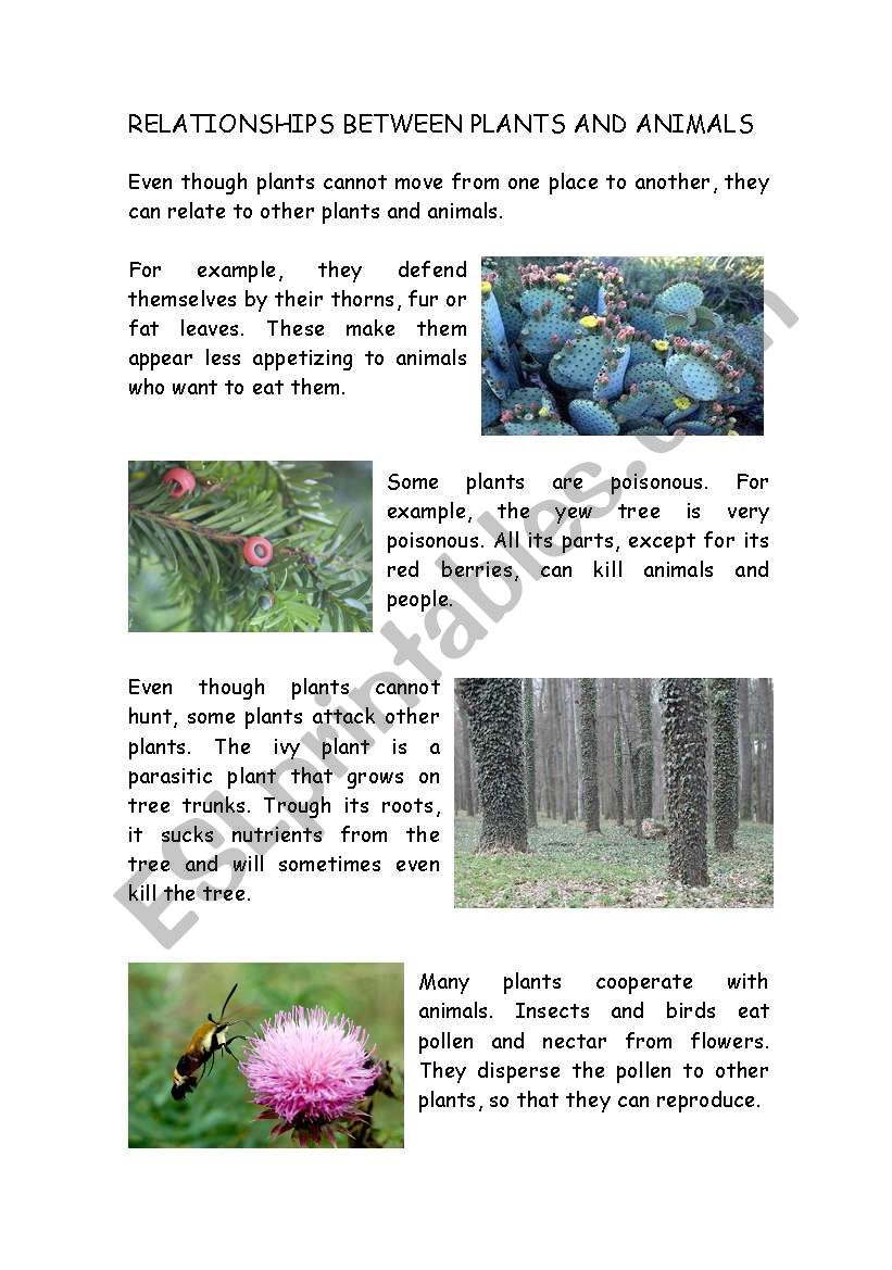 Relationship between plants and animals:Reading and  for  Science! - ESL worksheet by jlynchrichmond