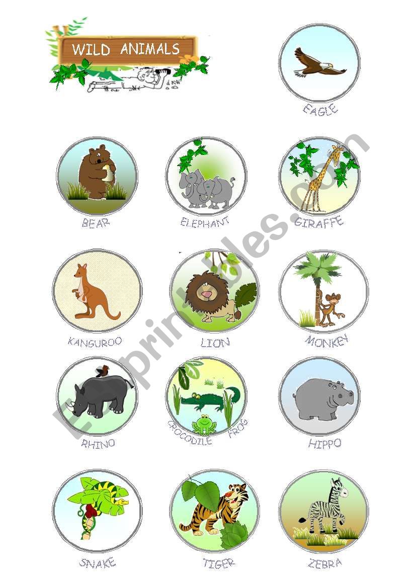 wild animals worksheet