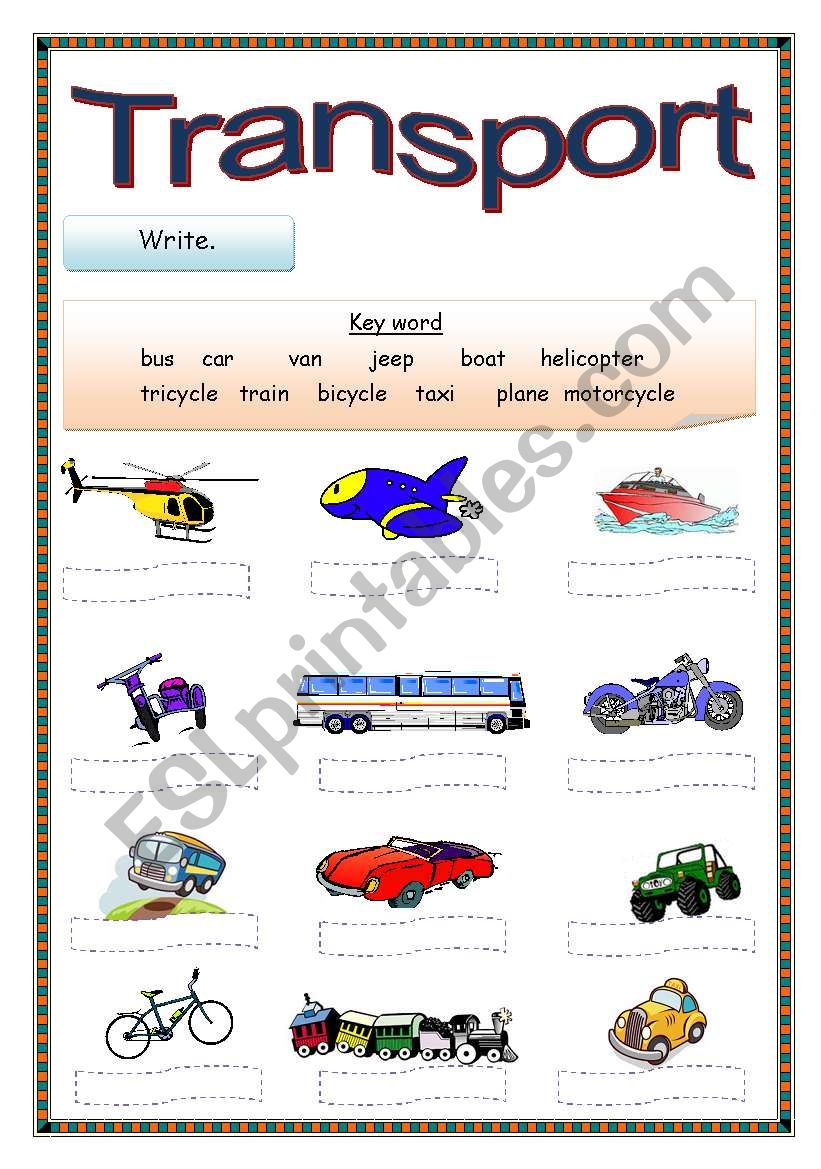 Transport worksheet