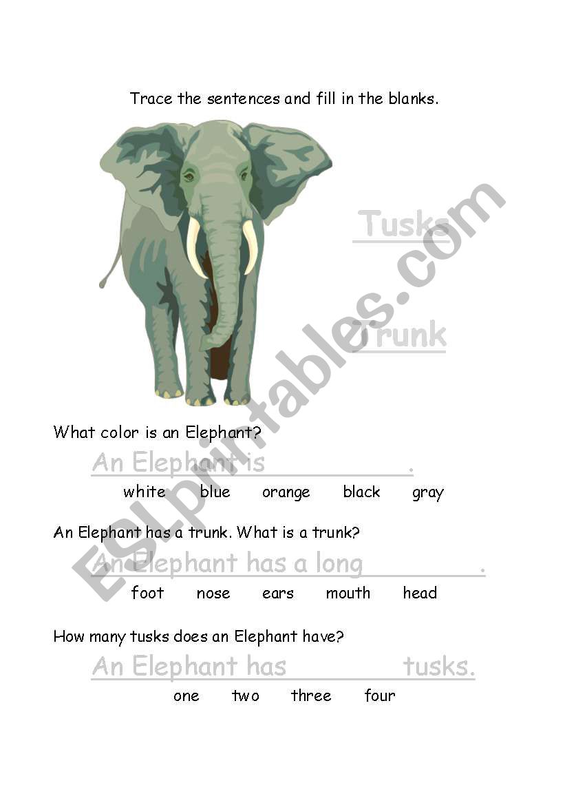 Elephants worksheet