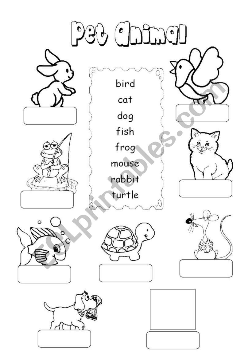 Pet Animal worksheet