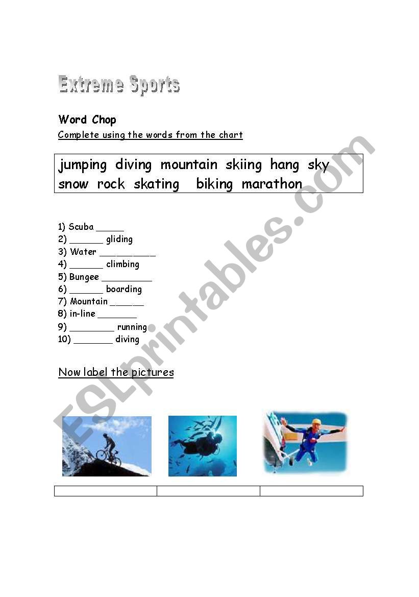 Extreme Sports worksheet