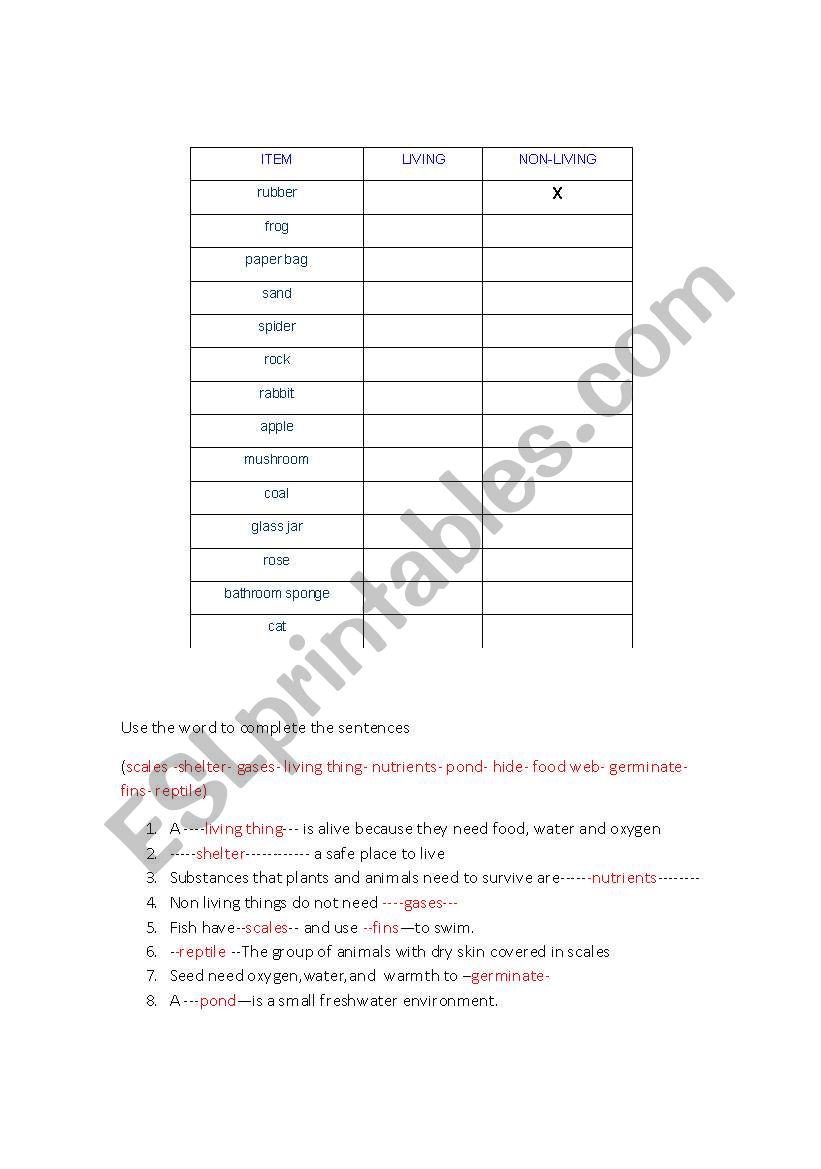 scince worksheet