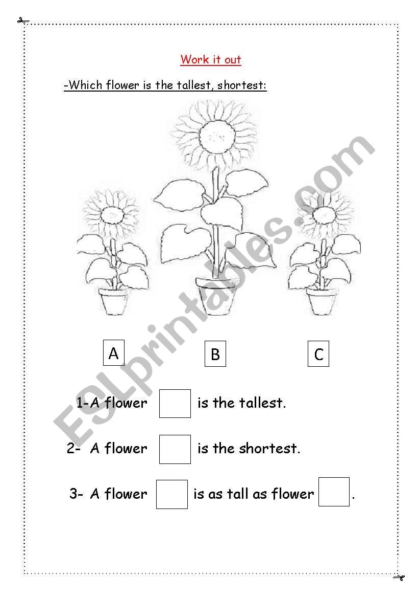 lengths worksheet