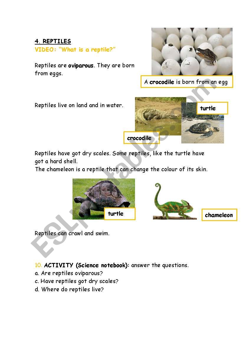 Animals.Reptiles.Description with questions