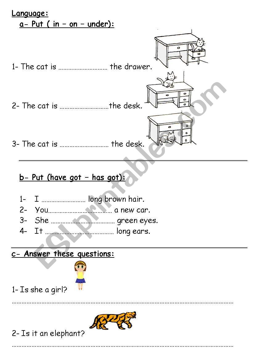 Exam worksheet