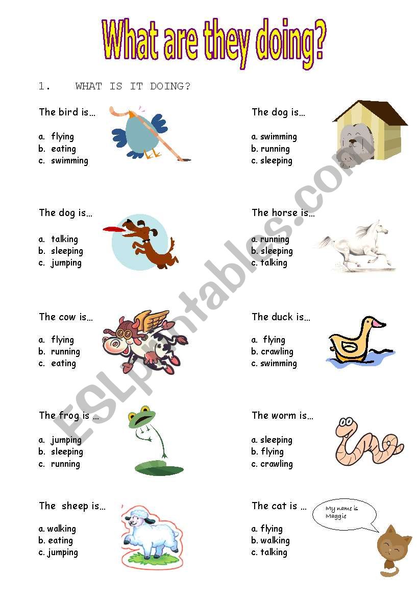 what are these animals doing? worksheet