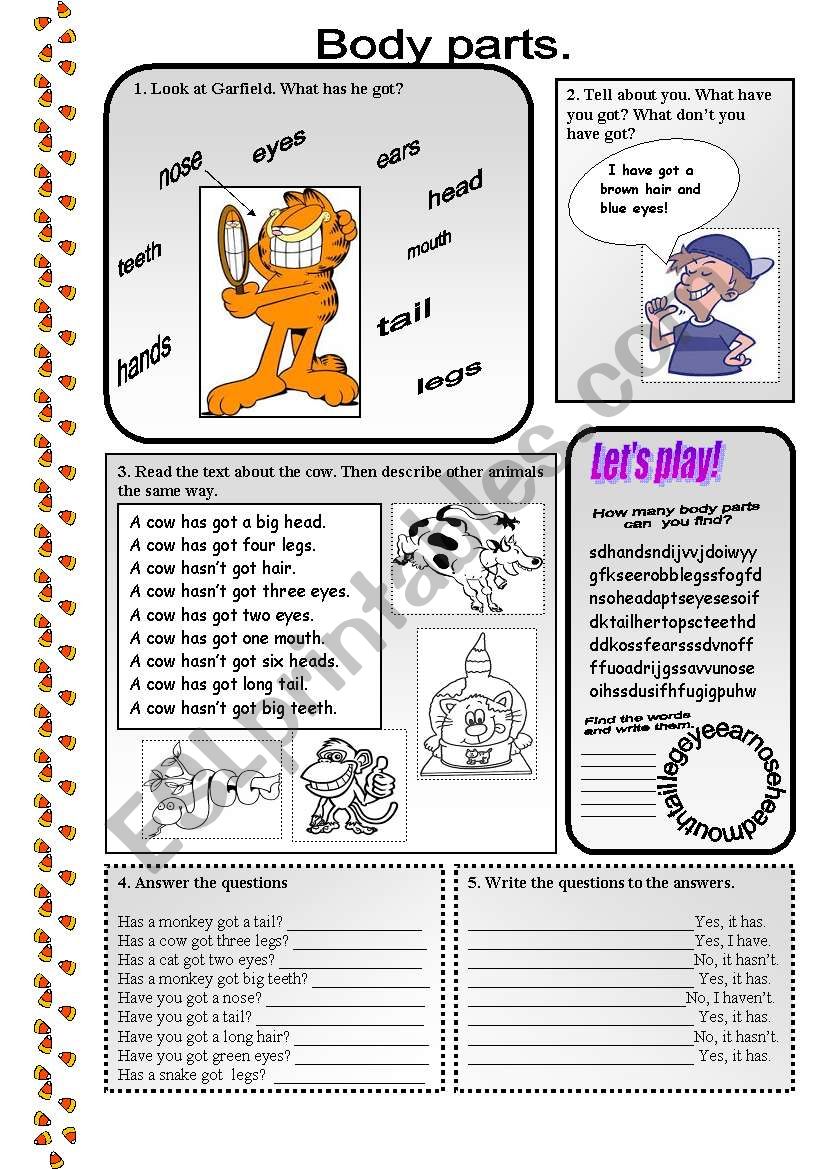 Body parts. Have got/has got. worksheet