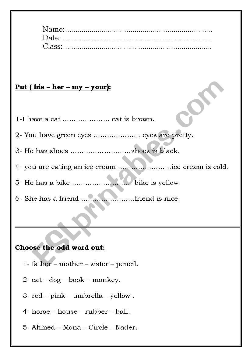 Grammar worksheet