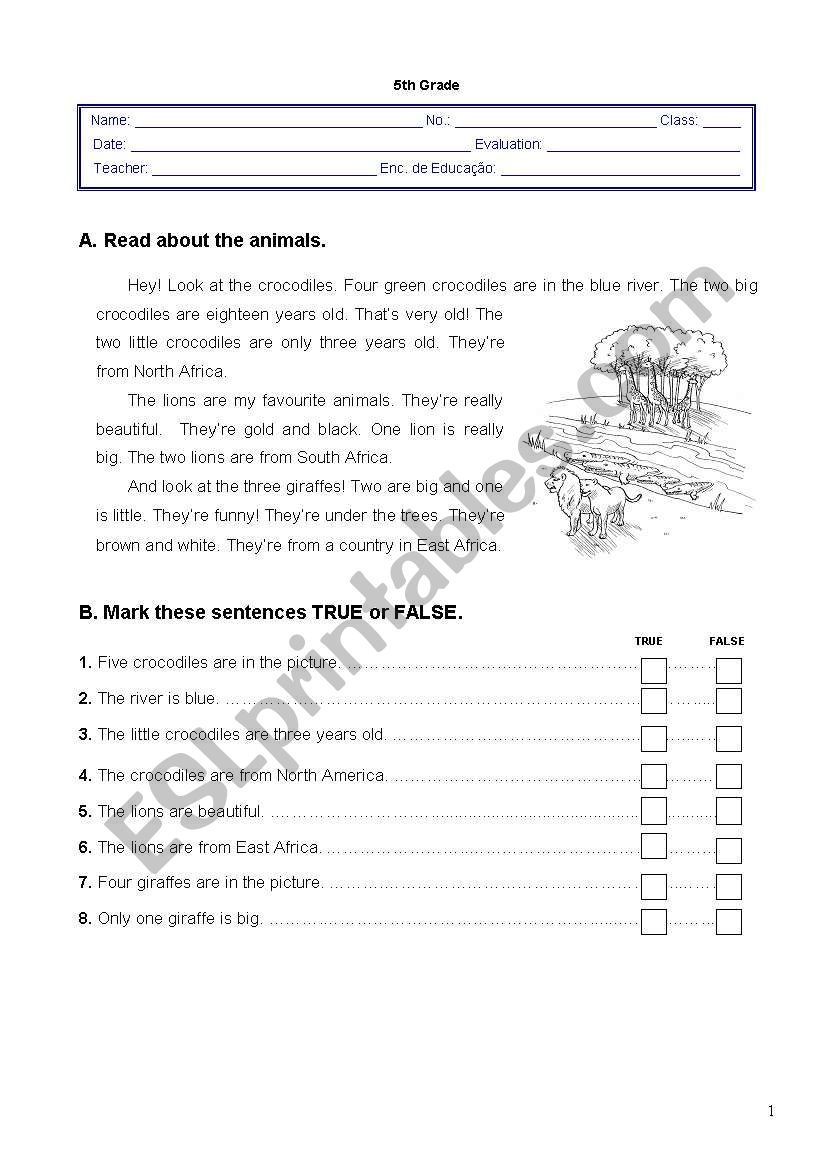 Worksheet - 2nd term - 5th grade