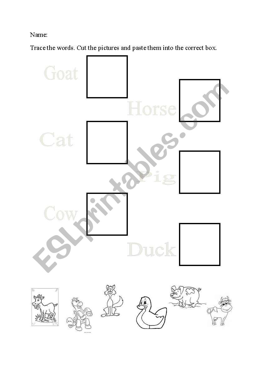 Animals worksheet