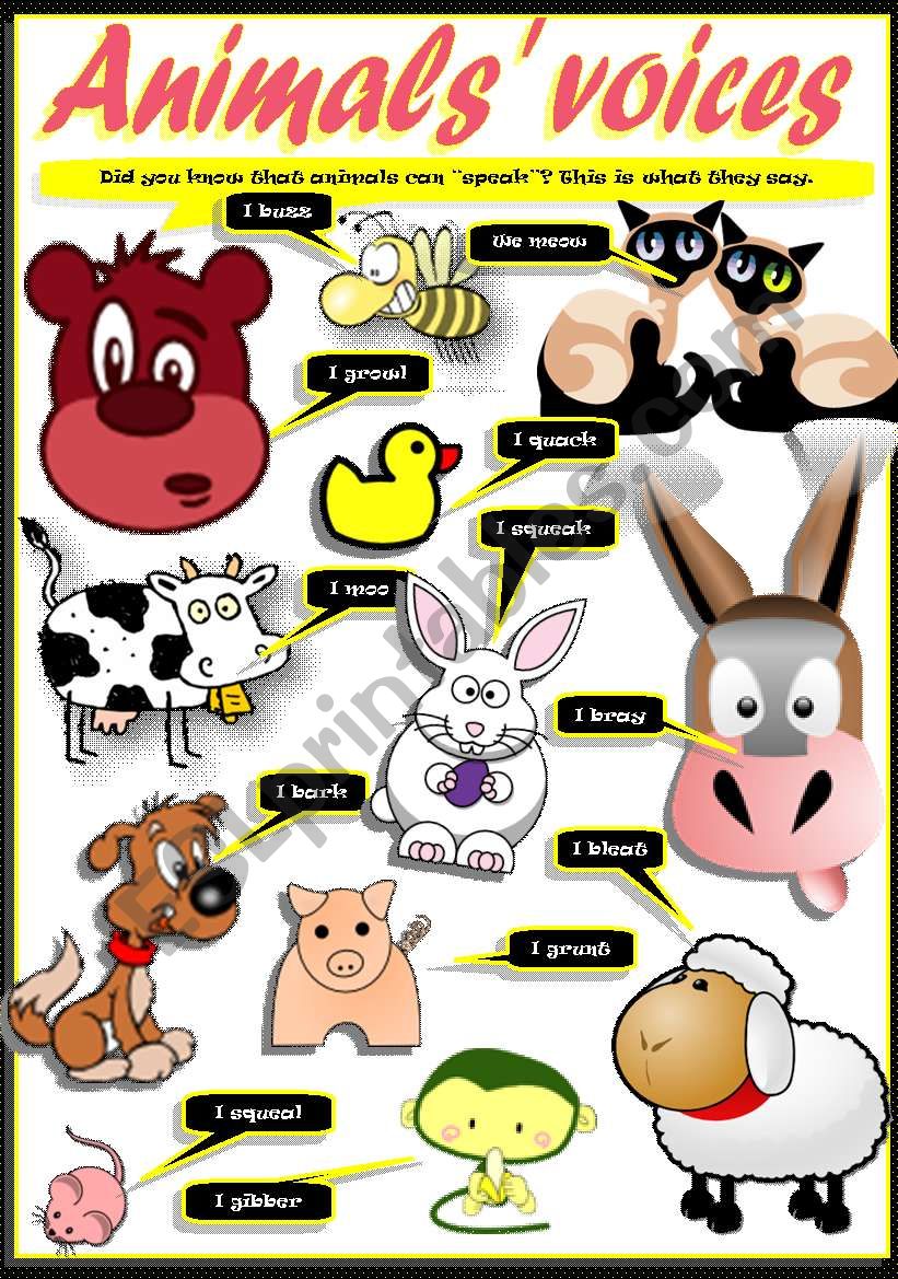 ANIMAL SOUNDS PICTIONARY worksheet