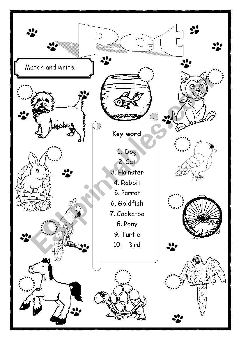 Pet worksheet