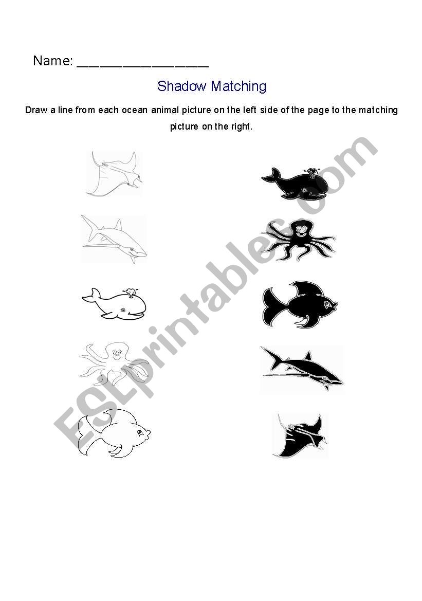 ocean worksheet