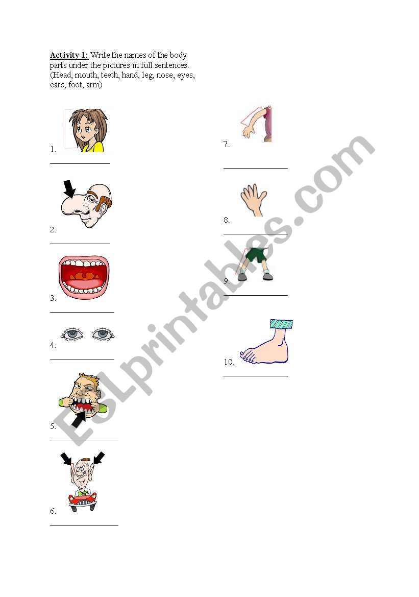 body parts worksheet