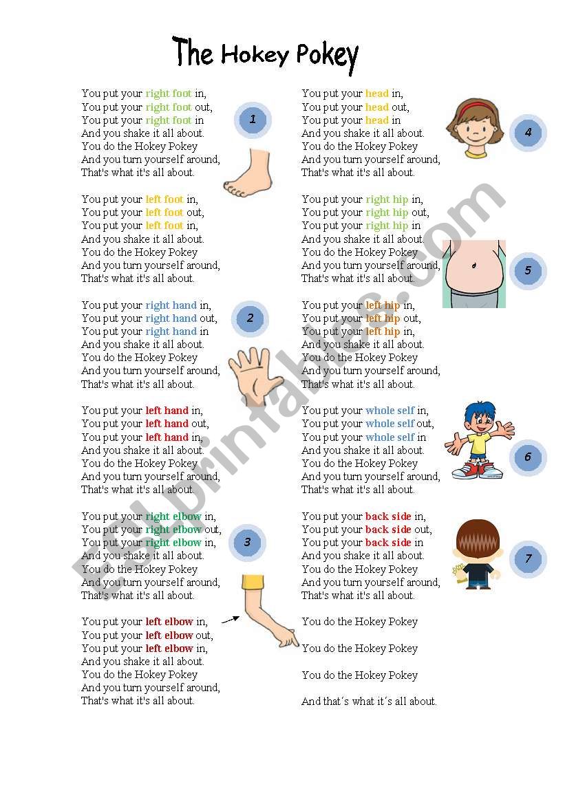 The hokey pokey song lyrics worksheet