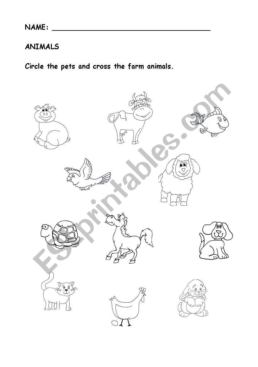 Animals and numbers worksheet