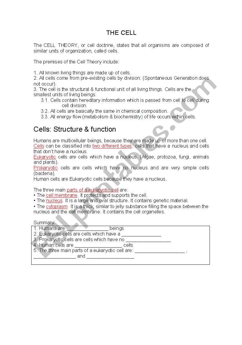 The Cell worksheet