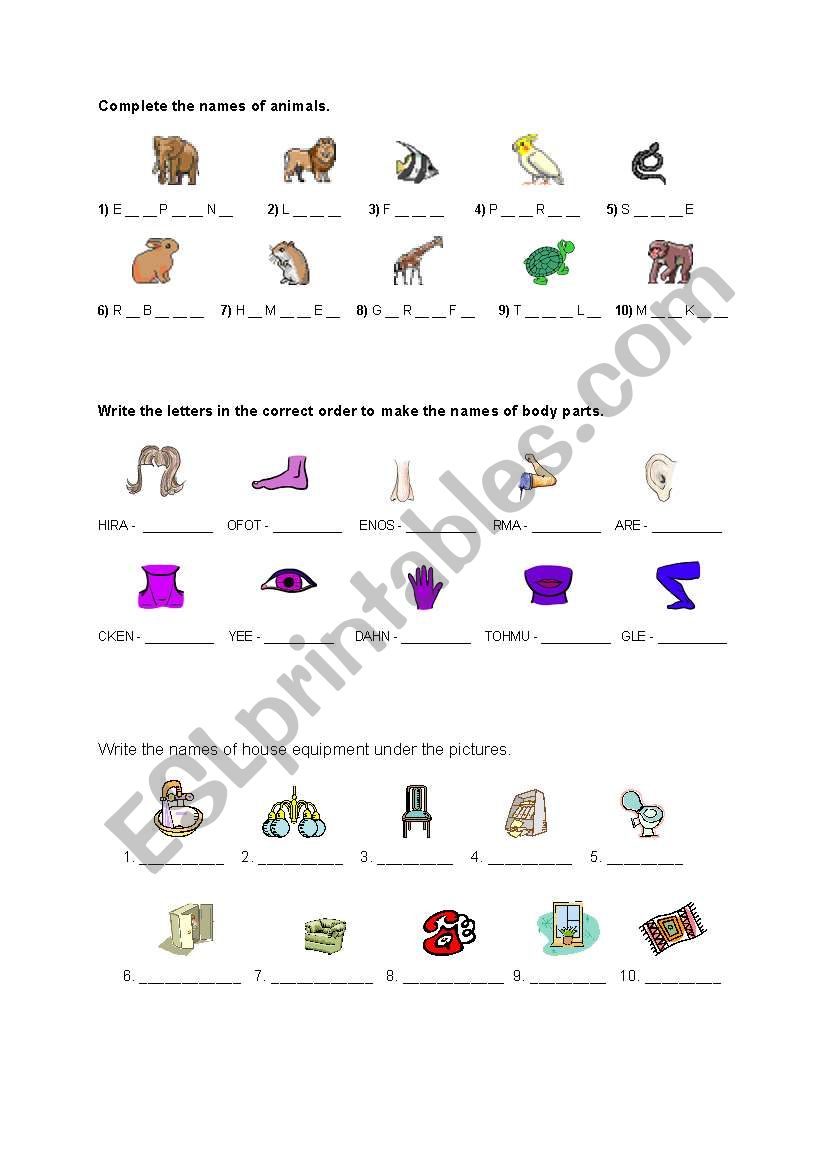 animals, body parts and house vacabulary