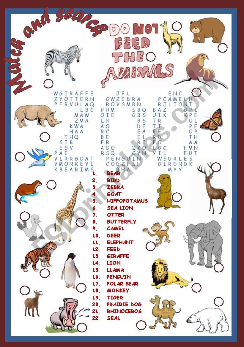 ZOO(editable+key) worksheet