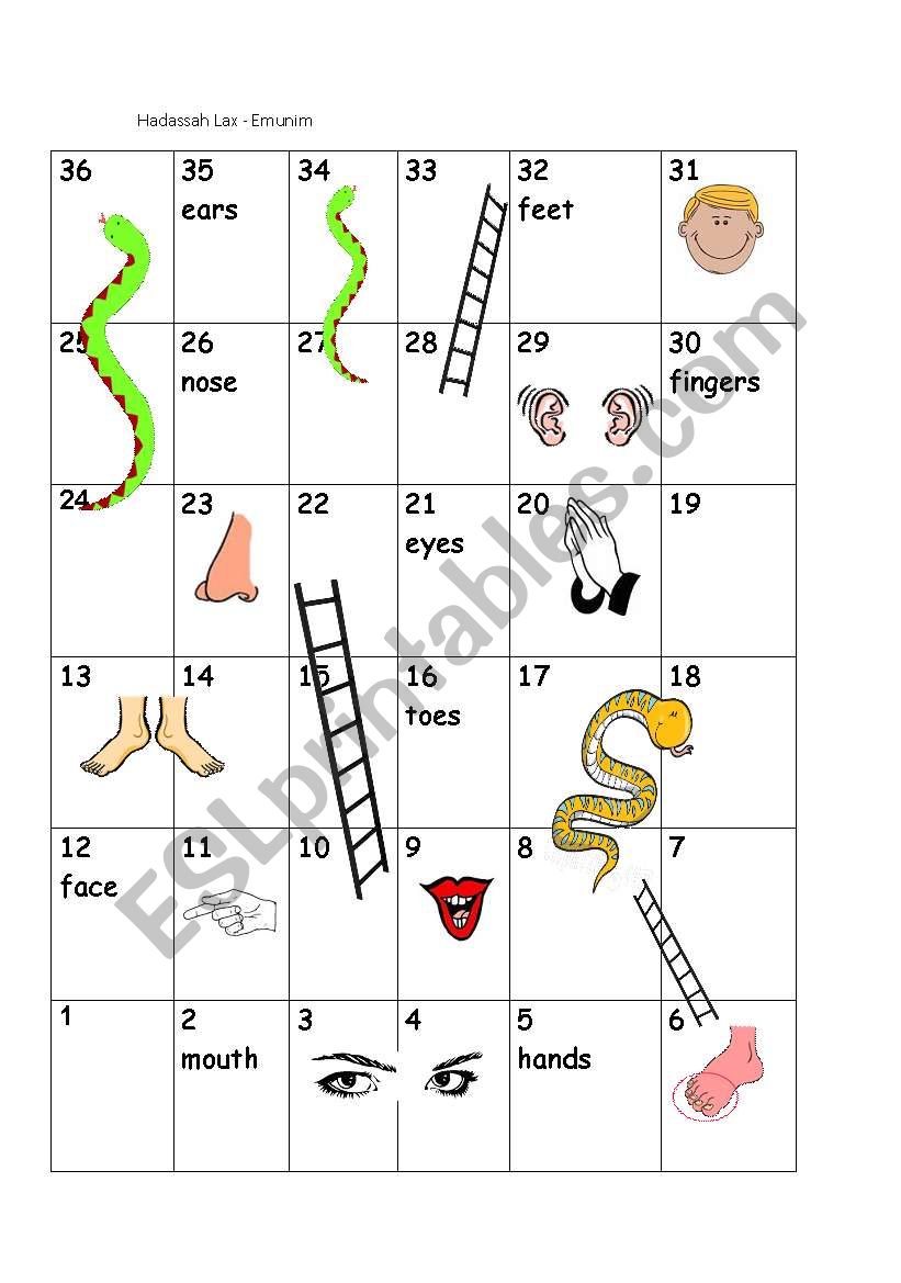 parts of body worksheet