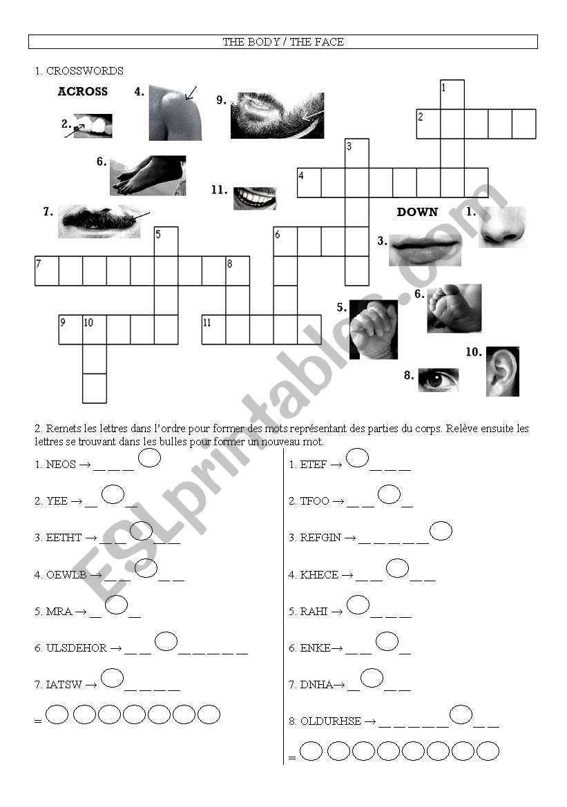 voc the body worksheet